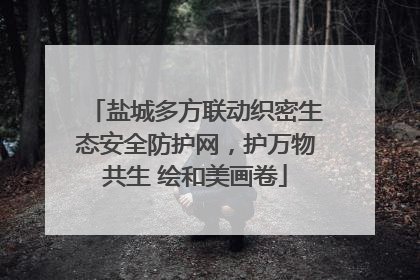 盐城多方联动织密生态安全防护网，护万物共生 绘和美画卷