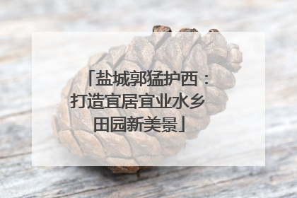 盐城郭猛护西：打造宜居宜业水乡田园新美景