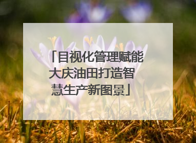 目视化管理赋能 大庆油田打造智慧生产新图景