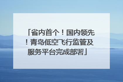 省内首个！国内领先！青岛低空飞行监管及服务平台完成部署