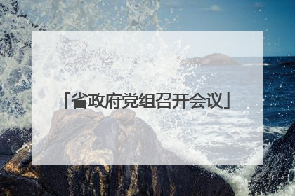 省政府党组召开会议