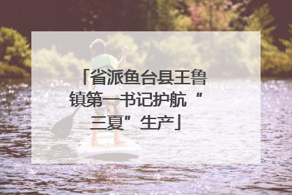 省派鱼台县王鲁镇第一书记护航“三夏”生产