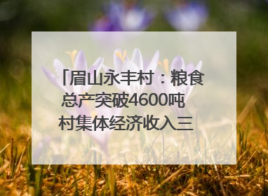 眉山永丰村：粮食总产突破4600吨 村集体经济收入三年倍增｜牵挂的村