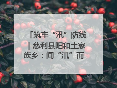 筑牢“汛”防线｜慈利县阳和土家族乡：闻“汛”而动 全员下沉筑牢防汛“安全堤”