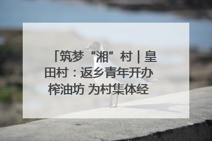 筑梦“湘”村｜皇田村：返乡青年开办榨油坊 为村集体经济“加油”