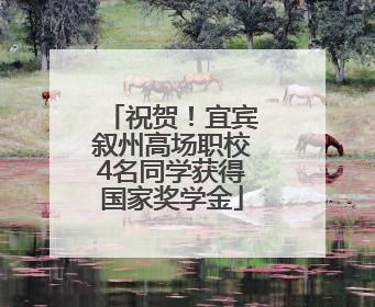 祝贺！宜宾叙州高场职校4名同学获得国家奖学金