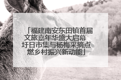 福建南安东田镇首届文旅嘉年华盛大启幕 圩日市集与杨梅采摘点燃乡村振兴新动能