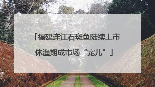 福建连江石斑鱼陆续上市 休渔期成市场“宠儿”