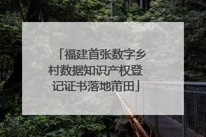 福建首张数字乡村数据知识产权登记证书落地莆田