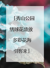 秀山公园绣球花盛放 多彩花海引客来