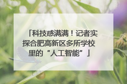 科技感满满！记者实探合肥高新区多所学校里的“人工智能”