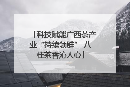 科技赋能广西茶产业“持续领鲜” 八桂茶香沁人心