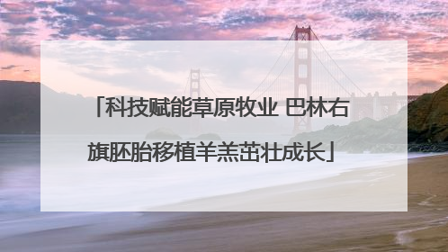 科技赋能草原牧业 巴林右旗胚胎移植羊羔茁壮成长