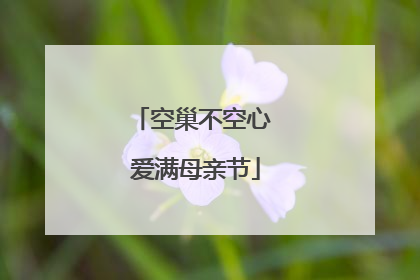 空巢不空心 爱满母亲节