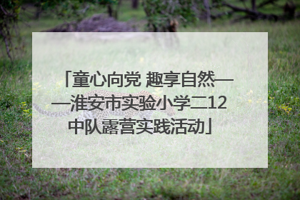 童心向党 趣享自然——淮安市实验小学二12中队露营实践活动