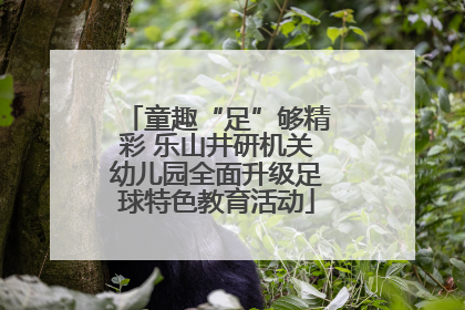 童趣“足”够精彩 乐山井研机关幼儿园全面升级足球特色教育活动