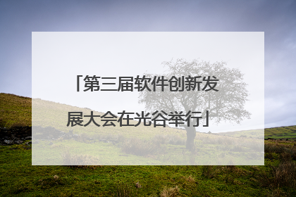 第三届软件创新发展大会在光谷举行