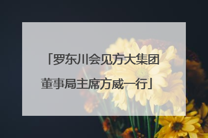罗东川会见方大集团董事局主席方威一行