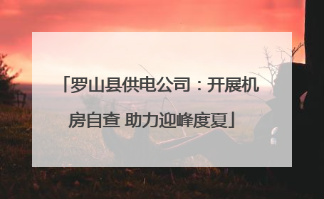 罗山县供电公司：开展机房自查 助力迎峰度夏