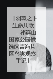羽翼之下 生命共歌——祁连山国家公园候选区青海片区鸟类观察手记