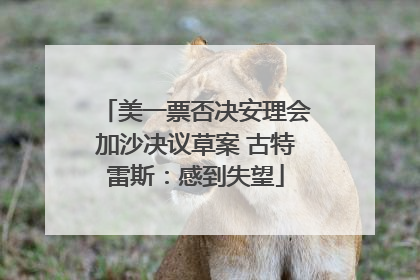 美一票否决安理会加沙决议草案 古特雷斯：感到失望