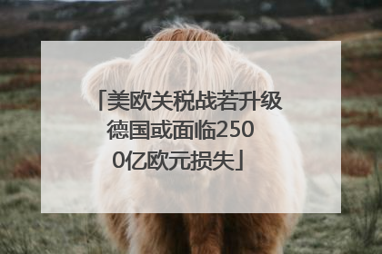 美欧关税战若升级 德国或面临2500亿欧元损失