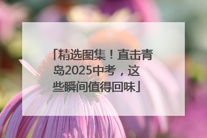 精选图集！直击青岛2025中考，这些瞬间值得回味