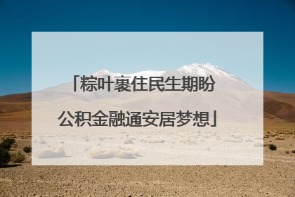 粽叶裹住民生期盼 公积金融通安居梦想