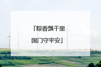 粽香飘千里 国门守平安