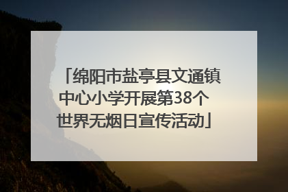 绵阳市盐亭县文通镇中心小学开展第38个世界无烟日宣传活动