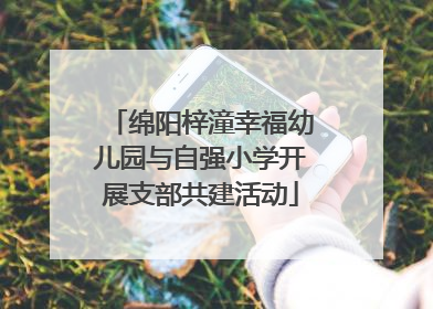 绵阳梓潼幸福幼儿园与自强小学开展支部共建活动