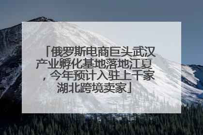 俄罗斯电商巨头武汉产业孵化基地落地江夏，今年预计入驻上千家湖北跨境卖家
