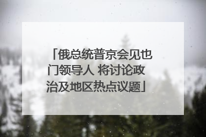 俄总统普京会见也门领导人 将讨论政治及地区热点议题