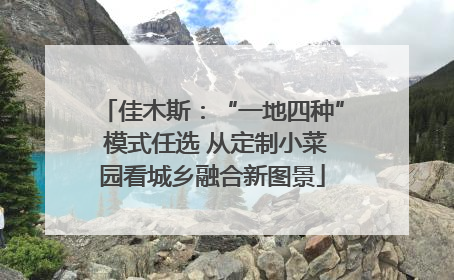 佳木斯：“一地四种” 模式任选 从定制小菜园看城乡融合新图景