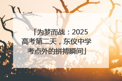 为梦而战：2025高考第二天，东仪中学考点外的拼搏瞬间