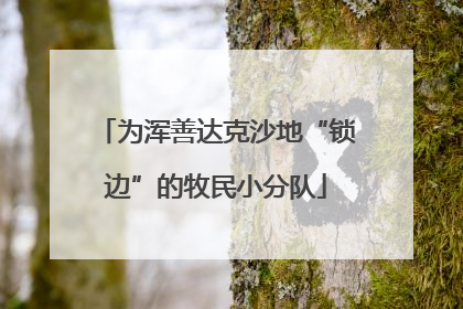 为浑善达克沙地“锁边”的牧民小分队