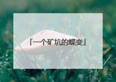 一个矿坑的蝶变
