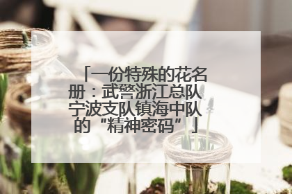 一份特殊的花名册：武警浙江总队宁波支队镇海中队的“精神密码”
