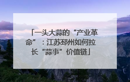 一头大蒜的“产业革命”：江苏邳州如何拉长“蒜事”价值链