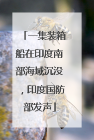 一集装箱船在印度南部海域沉没，印度国防部发声