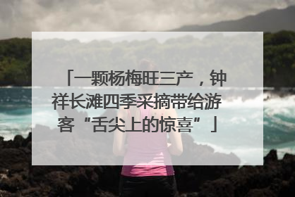 一颗杨梅旺三产，钟祥长滩四季采摘带给游客“舌尖上的惊喜”