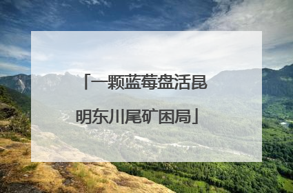 一颗蓝莓盘活昆明东川尾矿困局