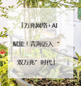 万兆网络+AI赋能！青海迈入“双万兆”时代
