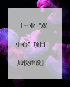 三亚“双中心”项目加快建设