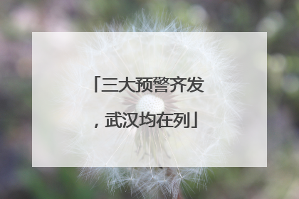 三大预警齐发，武汉均在列