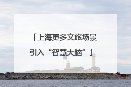 上海更多文旅场景引入“智慧大脑”