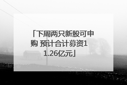 下周两只新股可申购 预计合计募资11.26亿元
