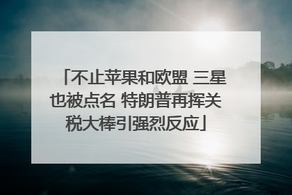 不止苹果和欧盟 三星也被点名 特朗普再挥关税大棒引强烈反应