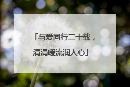 与爱同行二十载，涓涓暖流润人心