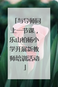 与导师同上一节课，乐山柏杨小学开展新教师培训活动